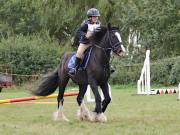 Image 35 in BECCLES AND BUNGAY RIDING CLUB. 19 AUGUST 2018