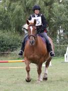 Image 41 in BECCLES AND BUNGAY RIDING CLUB. 19 AUGUST 2018