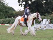 Image 46 in BECCLES AND BUNGAY RIDING CLUB. 19 AUGUST 2018