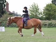 Image 50 in BECCLES AND BUNGAY RIDING CLUB. 19 AUGUST 2018
