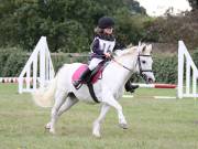 Image 57 in BECCLES AND BUNGAY RIDING CLUB. 19 AUGUST 2018