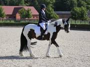 Image 102 in OPTIMUM EVENT MANAGEMENT. DRESSAGE. EASTON PARK STUD. 25TH AUGUST 2018