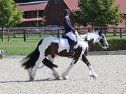 Image 103 in OPTIMUM EVENT MANAGEMENT. DRESSAGE. EASTON PARK STUD. 25TH AUGUST 2018