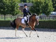 Image 108 in OPTIMUM EVENT MANAGEMENT. DRESSAGE. EASTON PARK STUD. 25TH AUGUST 2018