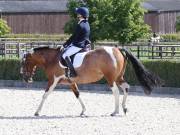 Image 109 in OPTIMUM EVENT MANAGEMENT. DRESSAGE. EASTON PARK STUD. 25TH AUGUST 2018