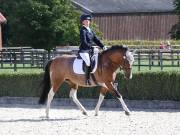 Image 110 in OPTIMUM EVENT MANAGEMENT. DRESSAGE. EASTON PARK STUD. 25TH AUGUST 2018