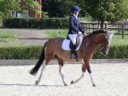 Image 111 in OPTIMUM EVENT MANAGEMENT. DRESSAGE. EASTON PARK STUD. 25TH AUGUST 2018