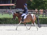 Image 114 in OPTIMUM EVENT MANAGEMENT. DRESSAGE. EASTON PARK STUD. 25TH AUGUST 2018