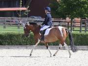 Image 114 in OPTIMUM EVENT MANAGEMENT. DRESSAGE. EASTON PARK STUD. 25TH AUGUST 2018