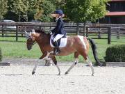 Image 115 in OPTIMUM EVENT MANAGEMENT. DRESSAGE. EASTON PARK STUD. 25TH AUGUST 2018