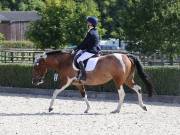 Image 116 in OPTIMUM EVENT MANAGEMENT. DRESSAGE. EASTON PARK STUD. 25TH AUGUST 2018