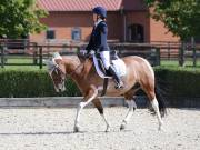 Image 117 in OPTIMUM EVENT MANAGEMENT. DRESSAGE. EASTON PARK STUD. 25TH AUGUST 2018