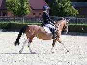 Image 118 in OPTIMUM EVENT MANAGEMENT. DRESSAGE. EASTON PARK STUD. 25TH AUGUST 2018