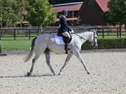 Image 120 in OPTIMUM EVENT MANAGEMENT. DRESSAGE. EASTON PARK STUD. 25TH AUGUST 2018