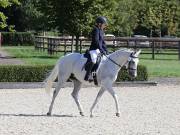 Image 133 in OPTIMUM EVENT MANAGEMENT. DRESSAGE. EASTON PARK STUD. 25TH AUGUST 2018