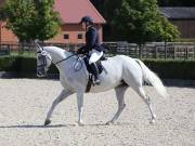 Image 137 in OPTIMUM EVENT MANAGEMENT. DRESSAGE. EASTON PARK STUD. 25TH AUGUST 2018