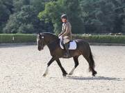 Image 143 in OPTIMUM EVENT MANAGEMENT. DRESSAGE. EASTON PARK STUD. 25TH AUGUST 2018