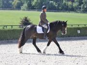 Image 146 in OPTIMUM EVENT MANAGEMENT. DRESSAGE. EASTON PARK STUD. 25TH AUGUST 2018