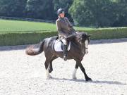 Image 148 in OPTIMUM EVENT MANAGEMENT. DRESSAGE. EASTON PARK STUD. 25TH AUGUST 2018