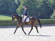 Image 149 in OPTIMUM EVENT MANAGEMENT. DRESSAGE. EASTON PARK STUD. 25TH AUGUST 2018