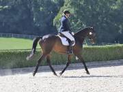 Image 151 in OPTIMUM EVENT MANAGEMENT. DRESSAGE. EASTON PARK STUD. 25TH AUGUST 2018