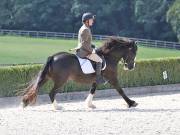 Image 152 in OPTIMUM EVENT MANAGEMENT. DRESSAGE. EASTON PARK STUD. 25TH AUGUST 2018