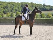 Image 154 in OPTIMUM EVENT MANAGEMENT. DRESSAGE. EASTON PARK STUD. 25TH AUGUST 2018