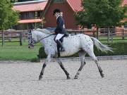 Image 157 in OPTIMUM EVENT MANAGEMENT. DRESSAGE. EASTON PARK STUD. 25TH AUGUST 2018