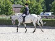 Image 162 in OPTIMUM EVENT MANAGEMENT. DRESSAGE. EASTON PARK STUD. 25TH AUGUST 2018