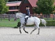 Image 164 in OPTIMUM EVENT MANAGEMENT. DRESSAGE. EASTON PARK STUD. 25TH AUGUST 2018