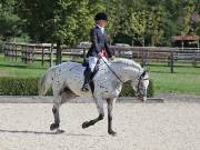 Image 168 in OPTIMUM EVENT MANAGEMENT. DRESSAGE. EASTON PARK STUD. 25TH AUGUST 2018