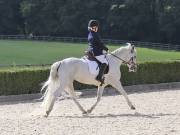 Image 171 in OPTIMUM EVENT MANAGEMENT. DRESSAGE. EASTON PARK STUD. 25TH AUGUST 2018