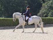 Image 174 in OPTIMUM EVENT MANAGEMENT. DRESSAGE. EASTON PARK STUD. 25TH AUGUST 2018