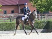 Image 180 in OPTIMUM EVENT MANAGEMENT. DRESSAGE. EASTON PARK STUD. 25TH AUGUST 2018