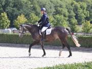 Image 182 in OPTIMUM EVENT MANAGEMENT. DRESSAGE. EASTON PARK STUD. 25TH AUGUST 2018