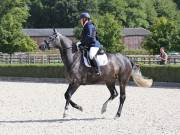 Image 183 in OPTIMUM EVENT MANAGEMENT. DRESSAGE. EASTON PARK STUD. 25TH AUGUST 2018