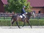 Image 185 in OPTIMUM EVENT MANAGEMENT. DRESSAGE. EASTON PARK STUD. 25TH AUGUST 2018