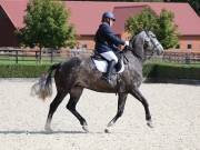 Image 186 in OPTIMUM EVENT MANAGEMENT. DRESSAGE. EASTON PARK STUD. 25TH AUGUST 2018