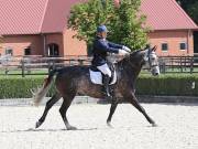 Image 187 in OPTIMUM EVENT MANAGEMENT. DRESSAGE. EASTON PARK STUD. 25TH AUGUST 2018