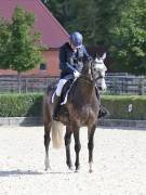 Image 189 in OPTIMUM EVENT MANAGEMENT. DRESSAGE. EASTON PARK STUD. 25TH AUGUST 2018