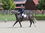 Image 191 in OPTIMUM EVENT MANAGEMENT. DRESSAGE. EASTON PARK STUD. 25TH AUGUST 2018