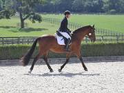 Image 194 in OPTIMUM EVENT MANAGEMENT. DRESSAGE. EASTON PARK STUD. 25TH AUGUST 2018