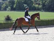 Image 195 in OPTIMUM EVENT MANAGEMENT. DRESSAGE. EASTON PARK STUD. 25TH AUGUST 2018