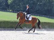 Image 197 in OPTIMUM EVENT MANAGEMENT. DRESSAGE. EASTON PARK STUD. 25TH AUGUST 2018