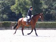 Image 198 in OPTIMUM EVENT MANAGEMENT. DRESSAGE. EASTON PARK STUD. 25TH AUGUST 2018