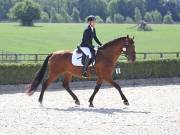 Image 199 in OPTIMUM EVENT MANAGEMENT. DRESSAGE. EASTON PARK STUD. 25TH AUGUST 2018