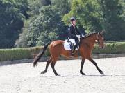Image 201 in OPTIMUM EVENT MANAGEMENT. DRESSAGE. EASTON PARK STUD. 25TH AUGUST 2018