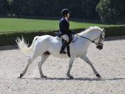 Image 210 in OPTIMUM EVENT MANAGEMENT. DRESSAGE. EASTON PARK STUD. 25TH AUGUST 2018