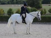 Image 214 in OPTIMUM EVENT MANAGEMENT. DRESSAGE. EASTON PARK STUD. 25TH AUGUST 2018