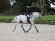 Image 223 in OPTIMUM EVENT MANAGEMENT. DRESSAGE. EASTON PARK STUD. 25TH AUGUST 2018